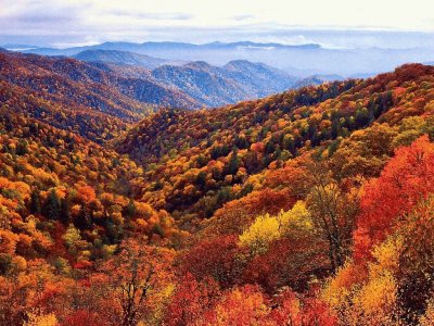 fall in the Smokies NC