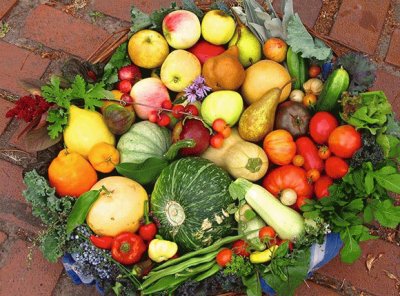 harvest basket