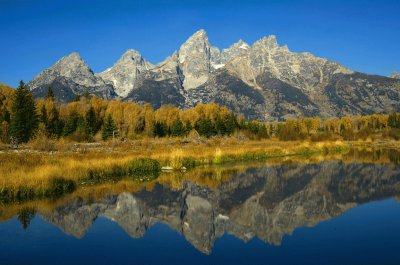 aspen autumn