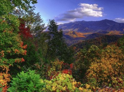 Smoky mountain vista