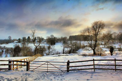 Snow fields