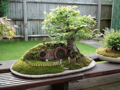 Bill Bo Baggins Bonsai