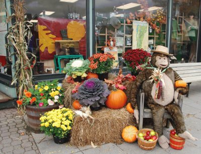 Fall shop display