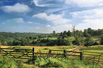 A cotswold Summer