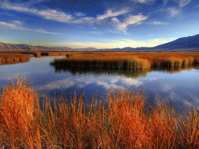 autumn marsh