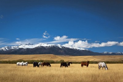 fall grazing