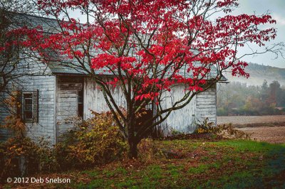 Eshbak Farm shed