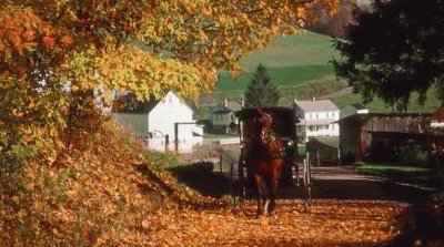 Amish autumn