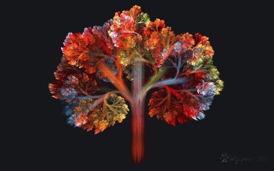 fall fractal