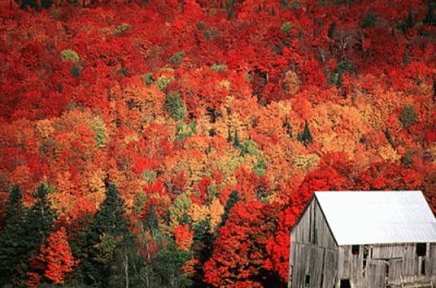 Vermont