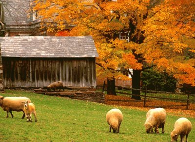 Pennsylvania farm