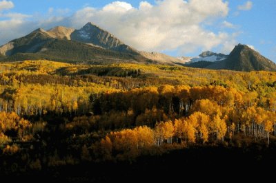 Aspen CO autumn