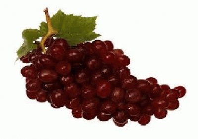 Uvas