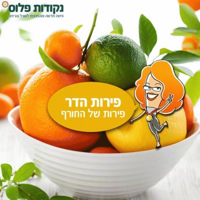 ×¤×™×¨×•×ª