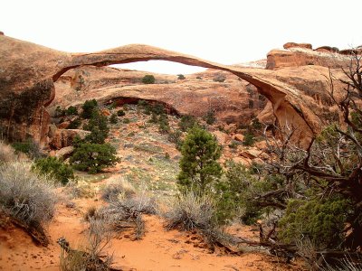 Arches National Park