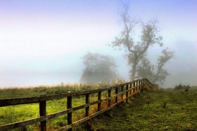 early morning mist jigsaw puzzle