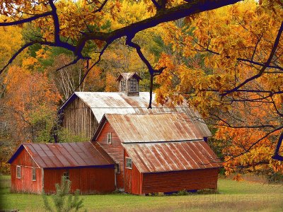 barn near Traverse City