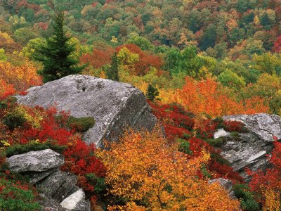 rocky outcropping