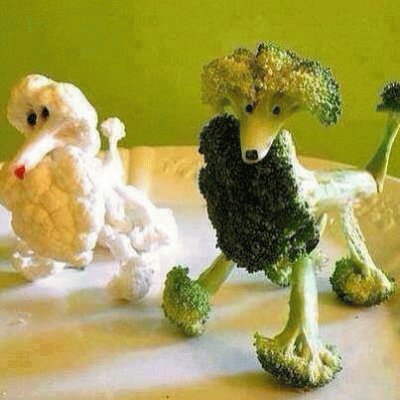 edible poodles