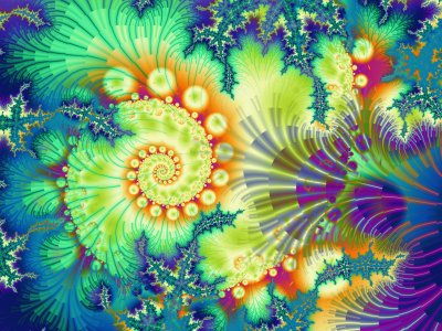 flower fractal