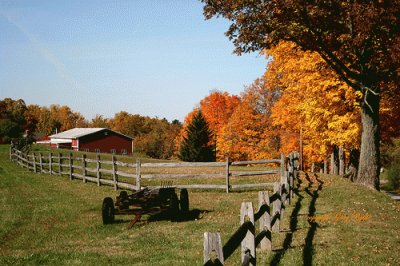 fall field