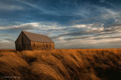 salt marsh sunset