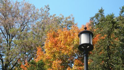 fall light post