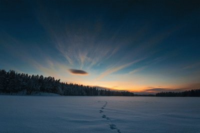 tracks on the lake