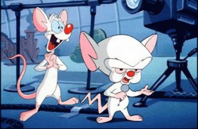 Pinky and the Brain