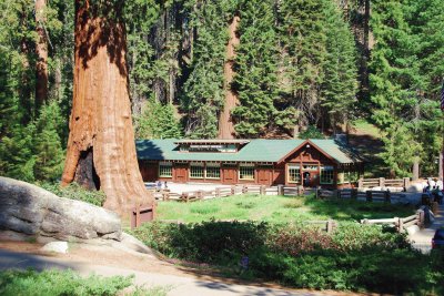 Redwoods visitor center