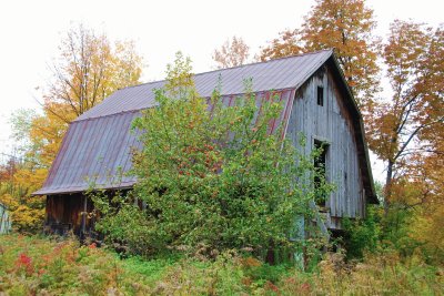 Old barn