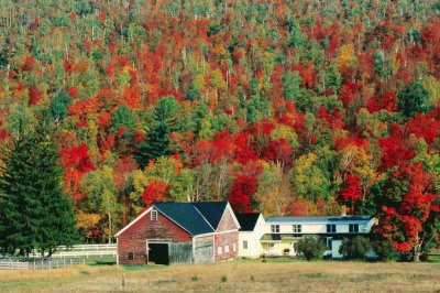 New England