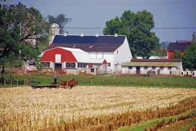 Amish farm