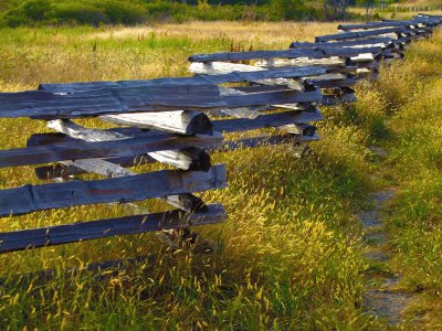 fancy fence