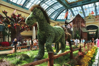 The Bellagio Conservatory, Las Vegas