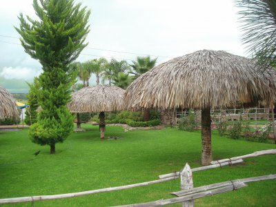 palapas