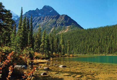 Cavell Lake, Jasper NP