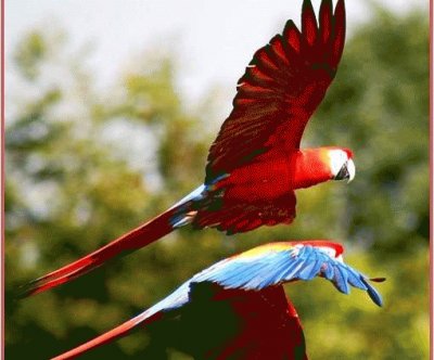 synchro flying