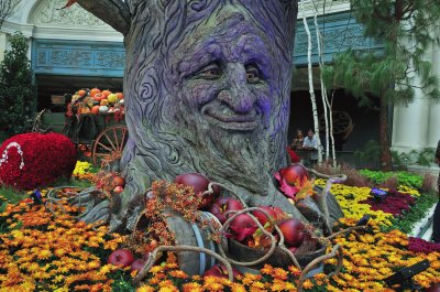 Bellagio Conservatory, Las Vegas