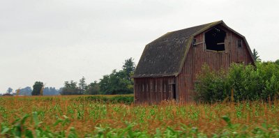 Barn