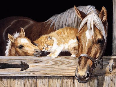 Horse and cat