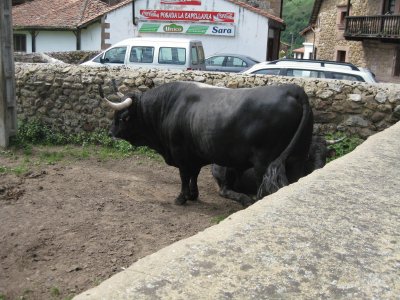 CANTABRIA