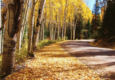 Kebler Pass, Colorado