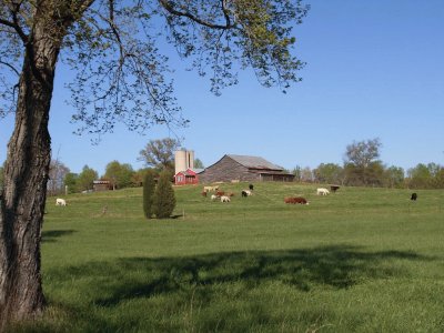 Mecklenburg County Farm