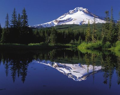 Mt. Hood