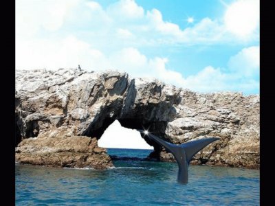 ISLAS MARIETAS