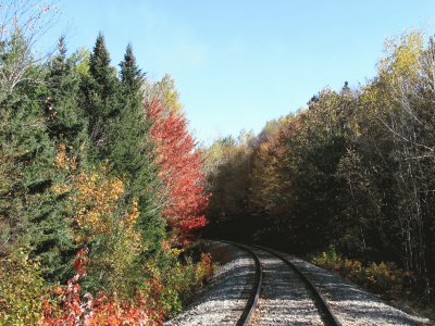 Fall colours along train tracks