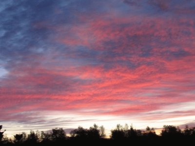 Backyard sunrise Oct 5 2013