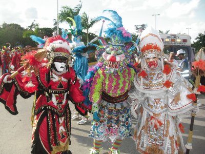 leones en punta cana