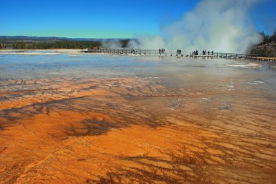 Lower Geyser Basin, Yellowstone NP